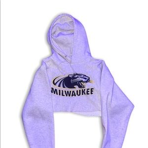 UW Milwaukee Cropped Hoodie